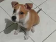 Lua