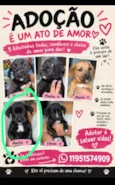 caramelo cinco dedos fofinho Minnie mouse