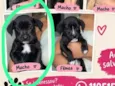 caramelo cinco dedos fofinho Minnie mouse