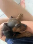 Não 
