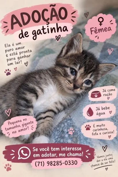 Gato raça SRD-ViraLata idade Abaixo de 2 meses nome Menina