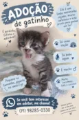 Bolinha