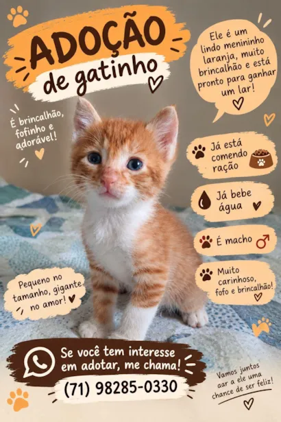 Gato raça SRD-ViraLata idade Abaixo de 2 meses nome Chimzinho