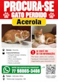 Acerola