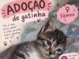 Menina