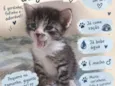 Bolinha