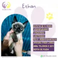 Ethan