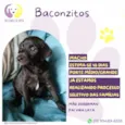 Baconzitos
