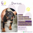 Doritos