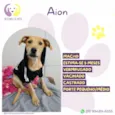Aion