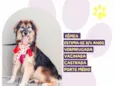Chita