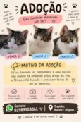 Pérola, Zé e Gustavo 