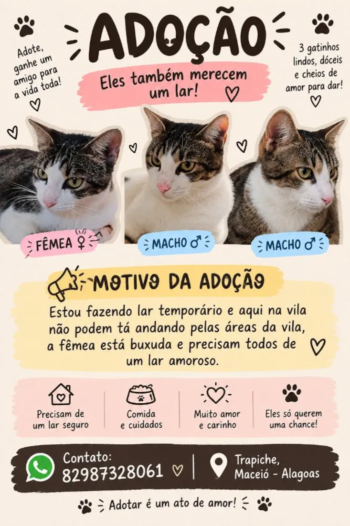 Gato raça SRD-ViraLata idade 1 ano nome Pérola, Zé e Gustavo 