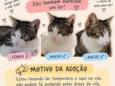 Pérola, Zé e Gustavo 