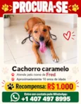 Fred