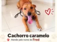 Fred