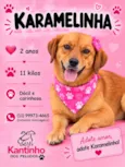 Karamelinha