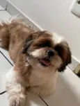 Ted 