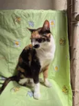Zoe