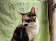 Zoe