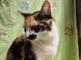 Zoe