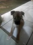 Mia