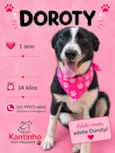 Doroty
