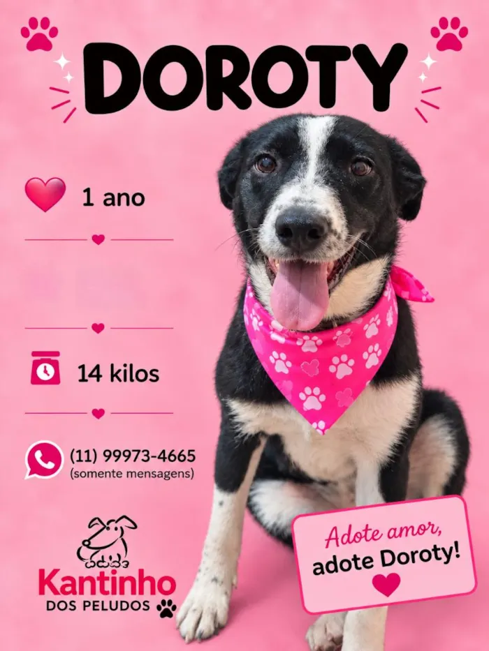 Cachorro raça SRD-ViraLata idade 1 ano nome Doroty