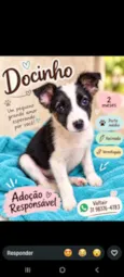 Docinho
