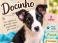 Docinho