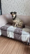 Gordo
