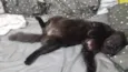 Salem 