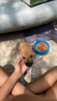 bebezinho 