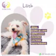 Lilith