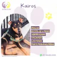 Kairos