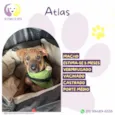 Atlas