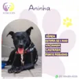 Aninha
