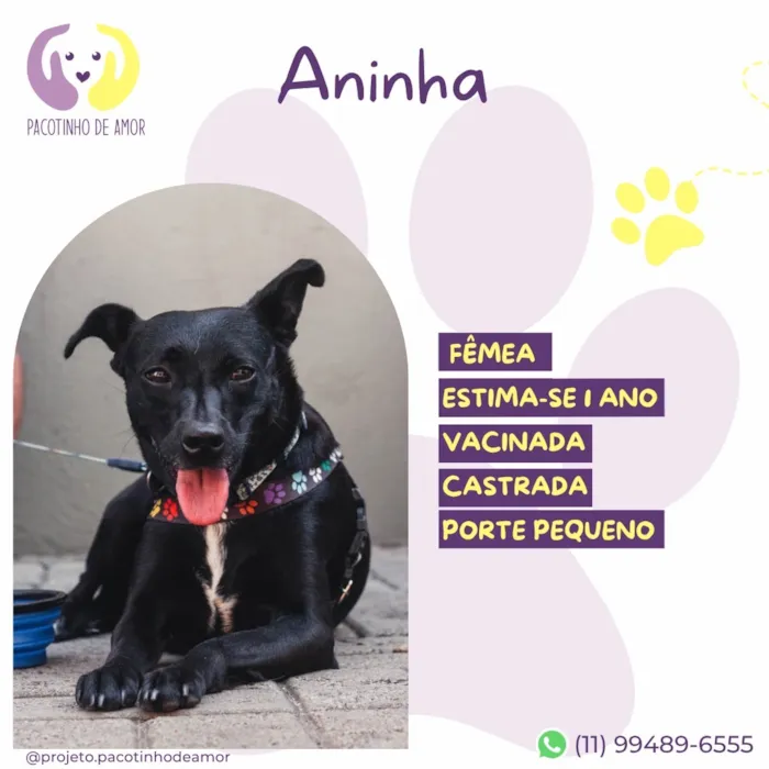 Cachorro raça SRD-ViraLata idade 1 ano nome Aninha