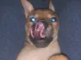 Antônio 