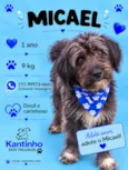 Micael