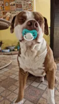 Zeus