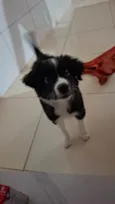 penélope 