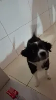 penélope 