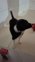 penélope 