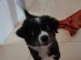 penélope 