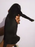 Sol