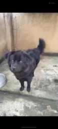 Francisca 