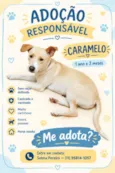 Caramelo