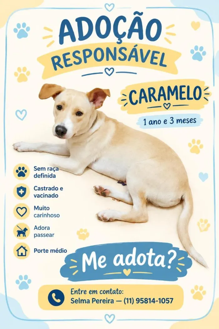 Cachorro raça SRD-ViraLata idade 1 ano nome Caramelo