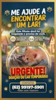 não tem nome